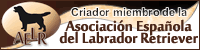 Asociación Española de Labrador Retriever