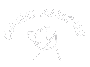 Canis Amicus Labrador Retriever